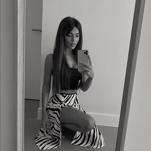 NWT Zara Black & White Zebra Print Satin Skirt - Picture 7 of 11